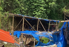 Sambut Kunjungan Gubernur Bengkulu, Penambang Emas Lebong Dikabarkan Diminta Setor Dana