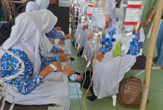 Program MBG Tetap Lanjut Meski Kasus Keracunan Marak