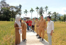 Tim Monev Temukan 5 Titik Rabat JUT Bermasalah di Desa Tabeak Dipoa
