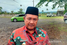 Pemkab Rejang Lebong Bakal Merumahkan Ribuan Honorer