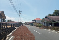 Marak Pencurian Kopi, Petani Diminta Jaga Kebun Secara Bersama