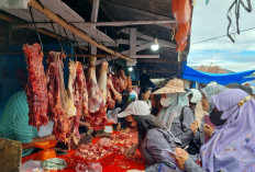 Daging Dijual Pedagang Aman & Layak Dikonsumsi