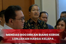 Kelapa Langka dan Mahal! Mendag Bocorkan Biang Keroknya