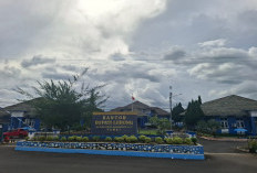 PPPK Paruh Waktu Telan Pil Pahit, THR Hanya untuk ASN