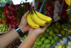 5 Manfaat Makan Pisang Setiap Hari, Berat Badan Bakalan Ambyar