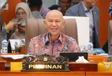 Soal Kebijakan Tarif Trump, Indonesia Diusulkan Dorong WTO Menyehatkan Perdagangan Global