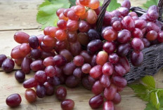 Hati-Hati, Ini 7 Buah dengan Kandungan Gula Tertinggi yang Perlu Dibatasi