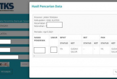 Cara Mudah Cek Penerima Bansos Lewat Smartphone