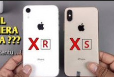 Perbedaan iPhone XR dan XS, Lebih Bagus yang Mana?