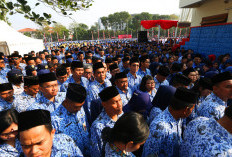 Honorer jadi PPPK Paruh Waktu Banyak Banget, Sudah Tahu Gajinya, Sabar ya