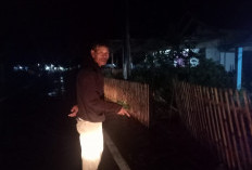 Rumah Warga Tanjung Bungai I Kerap Banjir, Ini Tanggapan Kepala Desa