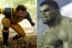 Marvel Studios Dikabarkan Mulai Kembangkan Film Hulk vs Wolverine di MCU