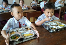 Heboh Isu Dapur Fiktif di Program Makan Bergizi Gratis, BGN Beri Penjelasan Begini