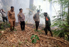 Kawasan TWA Tes Terbakar, 1 Hektar Hutan Hangus Dilalap Api