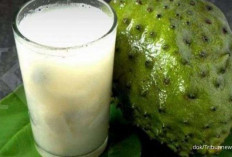 Minuman Sehat untuk Menjaga Kesehatan Ginjal