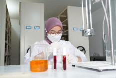 Bahan Aktif Skincare Terpopuler 2025 Hebatnya Untuk Kulit 