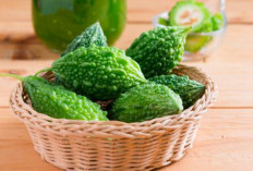 3 Makanan yang Sebaiknya Jangan Dikonsumsi Bersama dengan Pare