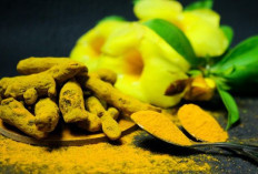 Tak Disangka, Kunyit Bisa Bantu Turunkan Gula Darah Seperti Obat Medis