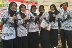 PPPK & PPPK Paruh Waktu Dahulu yang Diangkat PNS, Bukan Guru Honorer