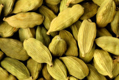 4 Manfaat Kapulaga, Ampuh Redakan Flu