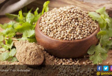 3 Manfaat Ketumbar yang Luar Biasa