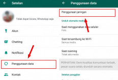 Cara Mengatasi WhatsApp Penuh Tanpa Hapus Chat Penting