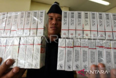 Operasi Gurita, Bea Cukai Makassar Menggagalkan Peredaran 505.162 Batang Rokok Ilegal
