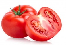 7 Manfaat Tomat untuk Kecantikan Kulit Wajah