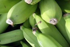5 Makanan Pemicu Sembelit yang Wajib Anda Ketahui