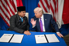 Daftar Lengkap Penghapusan Tarif Trump Jadi 0% untuk RI
