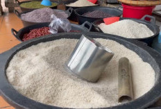 Update Harga Beras Hari Ini: Panduan Lengkap dan Tips Belanja Cerdas