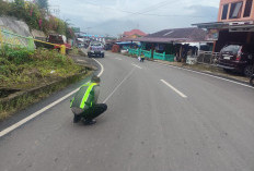 Adu Kambing Yamaha Aerox vs Pick Up, Penumpang Motor Meninggal Dunia