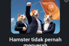 Benarkah Kartu Baru Hamster Kombat Pertanda Listing?