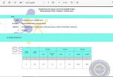 Pengumuman Hasil Seleksi PPPK Tahap 2 Banyak R2 Terlempar, Apalagi R3 & R4, Oh