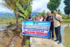 Dukung Sektor Pertanian, Pemdes Ujung Tanjung III Bangun Irigasi 290 Meter