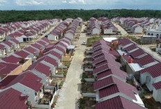 Pemerintah Siapkan Kebijakan Baru, Rumah Rp500 Juta Bebas Pajak