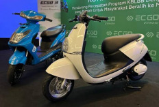 Kelebihan dan Kekurangan Motor Listrik yang Perlu Diketahui Sebelum Membeli