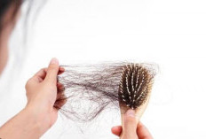 Rambut Rontok Bikin Panik? Ini 2 Cara Alami Mengatasinya