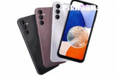 Pilihan Ideal: Smartphone dengan Kamera Jernih dan Harga Terjangkau