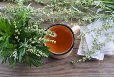 Ini 5 Manfaat Mugwort untuk Kulit Wajah, Viral di Korea