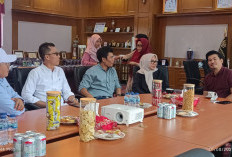 Dukung Sinergitas Pemerintah, Perdana Dirut RBMG Silahturahmi ke Pemkab BU