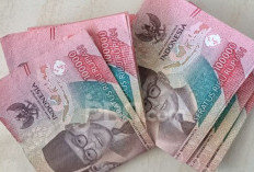 Instruksi Resmi, Siapkan Anggaran THR PPPK Paruh Waktu!