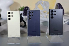 Update Harga Samsung S24 Terbaru April 2025, Pilihan Paling Tepat