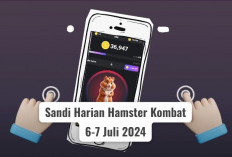 Buruan, 6 Juta Koin Menanti! Sandi Harian Hamster Kombat 6-7 Juli