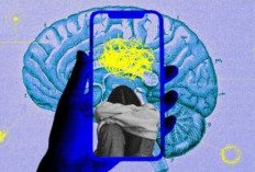 Solusi Ampuh Cegah 'Brain Rot' akibat Kecanduan Media Sosial