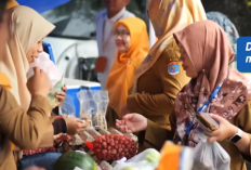 Aplikasi Trading Fortuno Market: Platform Terbaik dan Terpercaya untuk Pemula