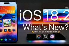 Fitur Baru iOS 18.2! Live Activity untuk Safari dan Update ‘Find My’ yang Revolusioner