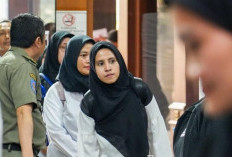 Jadwal Pengumuman Kelulusan PPPK Tahap 2 & Pengisian DRH NIP, Disusul Optimalisasi Formasi