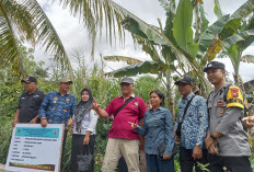 Pemdes Semelako II Bangun Irigasi 317 Meter Dukung Produktivitas Petani