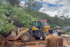Akses Jalan Pinang Belapis Sempat Terisolir, Tujuh Titik Longsor Tutup Jalan